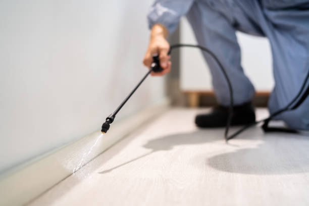 Rodent Entry Point Assessment in Plumas Lake