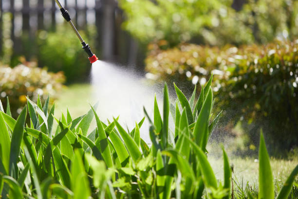 Tamper-Resistant Bait Stations for Rodents in Plumas Lake