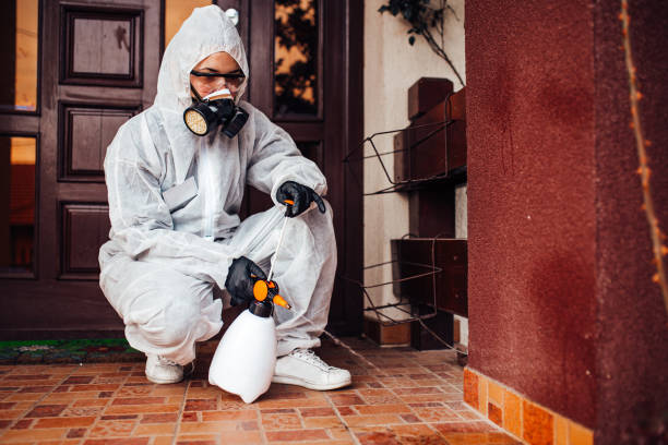 Attic and Crawl Space Rodent Treatment in Plumas Lake